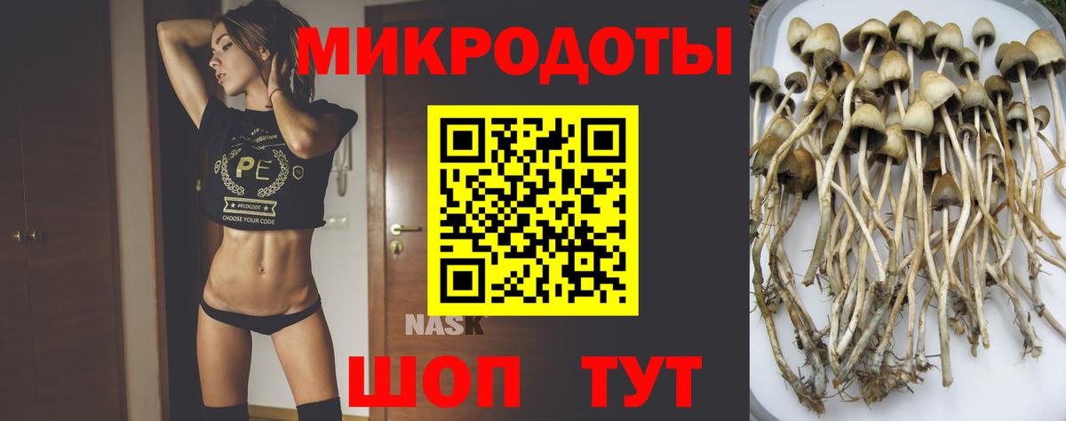 Воткинск  Галлюциногенные грибы мухоморы  Вход с VPN  Галлюциногенные грибы Psilocybine cubensis 
